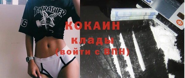 Альфа ПВП Осинники