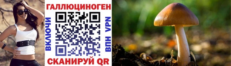 omg ССЫЛКА  Анадырь  Галлюциногенные грибы мицелий 